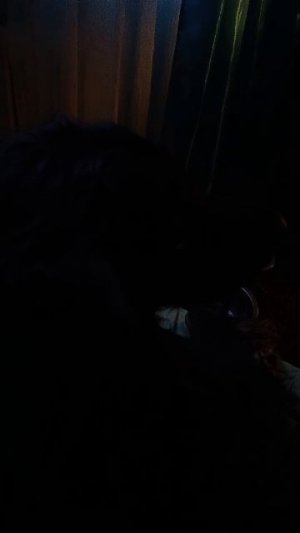 Всем привет 👋