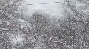 - 11 температура воздуха