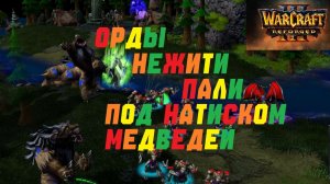 ДЕМОН И МЕДВЕДИ ПОРВУТ ВСЕХ! WARCRAFT 3 REFORGED.#warcraft #варкрафт