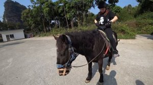 ЗАГОРОДНЫЙ ОТДЫХ В ГУАНЧЖОУ |  ТУРБАЗА В КИТАЕ #laowai