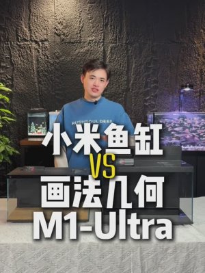 Сравнение аквариума Desgeo M1 Ultra с Xiaomi Mijia Smart Fish Tank MYG100