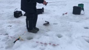 поимка форели