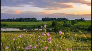 Родная сторонка