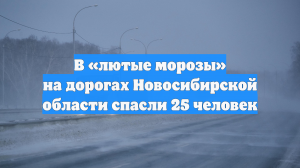 В «лютые морозы» на дорогах Новосибирской области спасли 25 человек