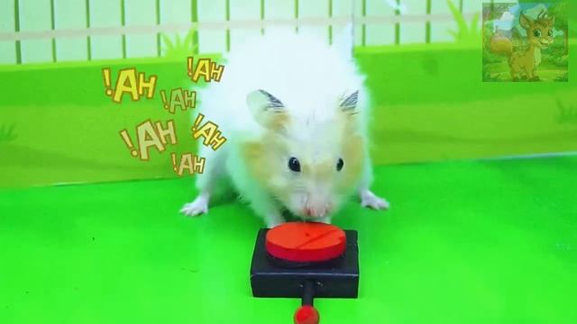 Малыш исчез, и испуганное сердечко маленького хомячка вот-вот выскочит из груди смотреть онлайн