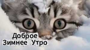 Видео Открытки Доброе Зимнее Утро Красивые