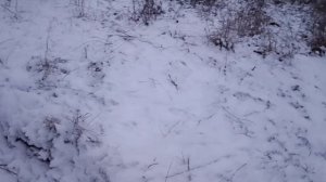 Зимние размышления...Релакс! Раздумья...#мысли #зима #красота #душа