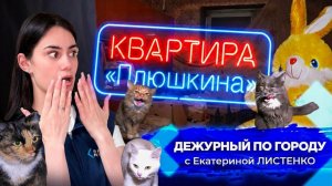 Квартира Плюшкина | ДПГ. Неделя