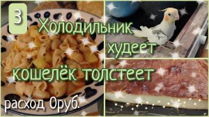 Холодильник худеет, кошелёк толстеет//день 3