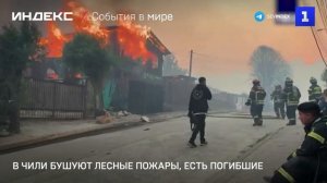 В Чили бушуют лесные пожары, есть погибшие