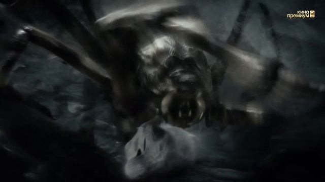 Хоббит - Пустошь Смауга.Гномы попадают в паучьи лапы.