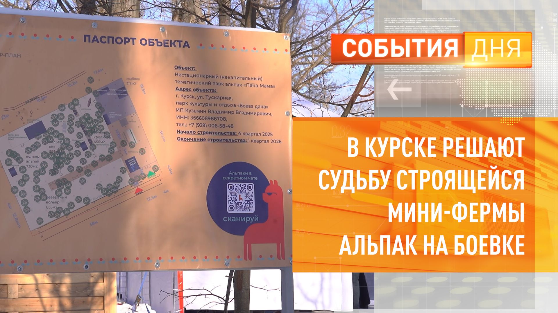 В Курске решают судьбу строящейся мини-фермы альпак на Боевке смотреть онлайн