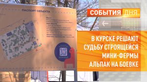В Курске решают судьбу строящейся мини-фермы альпак на Боевке