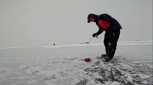 СУДАК И БЕРШ НА БЛЕСНУ С ТЮЛЬКОЙ_КУЙБЫШЕВСКОЕ ВДХР_ЛОВЛЯ СУДАКА И БЕРША_РЫБАЛКА 2026_Р.ВОЛГА_РЫБАК87