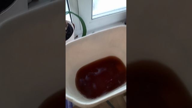 капель в зимнюю ночь смотреть онлайн