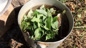 Малая лаба начало сентября