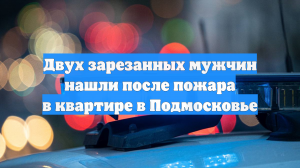 Двух зарезанных мужчин нашли после пожара в квартире в Подмосковье