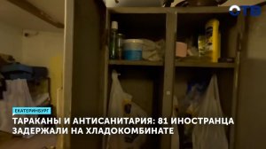 При проверке хладокомбината задержали более 80 мигрантов