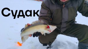 Жерлицы в Центре Екатеринбурга.