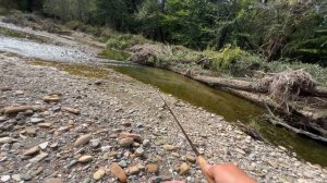 Малая Лаба Сентябрь