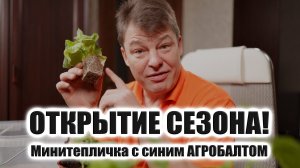 Выращивать рассаду в мини-тепличке — одно удовольствие! Покажу почему