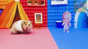 Поединок льда и огня, Огненный Хомячок ПРОТИВ Ледяного Беби-босса!