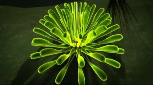 Грусть хрустальная