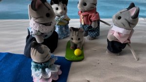 Комочек - сёрфер