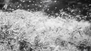 Топ 10: загадки и тайны 1 сезон 11 серия (документальный сериал, 2016)