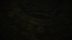 Blackwood. Иммерсивный перформанс