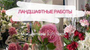Мои цветники. Сезон 2025. Часть 1
