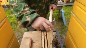 Двухматочное Пчеловодство!!!