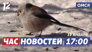 Редкая птица / Пожар в школе из-за петарды / Сказочный домик из снега. Новости Омска