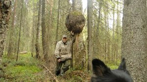 К болоту, и к лесу с Джульеттой.