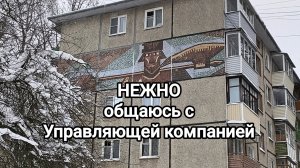 Общение с управляющей компанией. масштаб протечки