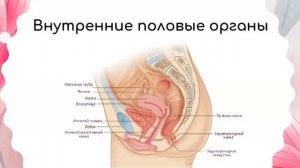 1 Супружество _и_замысел_Творца___Тема_1_Антонина_Мунтяну — копия