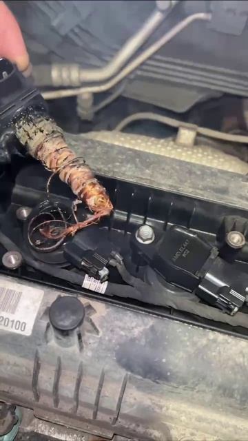 Kia Rio X-Line - горит катушка зажигания. смотреть онлайн