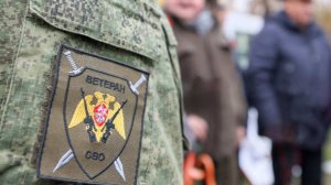 Правительство поддержало проект о защите ветеранов СВО от сокращений на работе