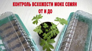 КОНТРОЛЬ ВСХОЖЕСТИ МОИХ СЕМЯН ОТ И ДО.