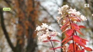 75 проектов по благоустройству реализуют в Ярославской области в 2026 году