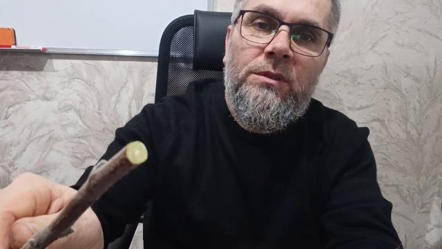 Самый детальный обзор и отзыв по дорогим и бюджетным секаторам. смотреть онлайн