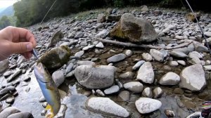 Малая лаба середина сентября