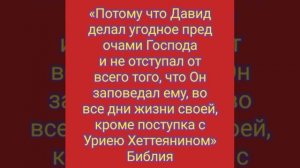 YouCut_20260119_023812134.mp4