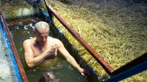 14% югорчан планируют окунуться в прорубь на Крещение