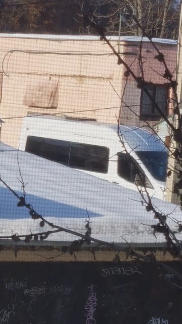 ПАСЕМСЯ КАК КОРОВА ... смотреть онлайн