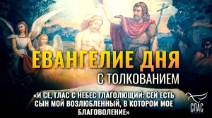 «И се, глас с небес глаголющий: Сей есть Сын Мой возлюбленный, в Котором Мое благоволение»