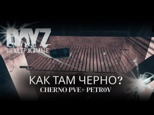 ⚡DayZ Неудержимые - КАК ТАМ ЧЕРНО? Cherno PvE+ Petr0v⚡