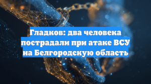 Гладков: два человека пострадали при атаке ВСУ на Белгородскую область