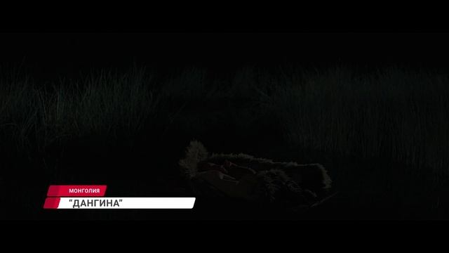 Премьера фильма смотреть онлайн