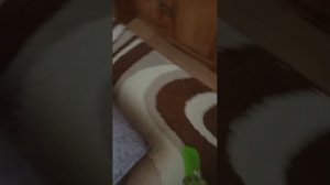 отвечаю на вопросы